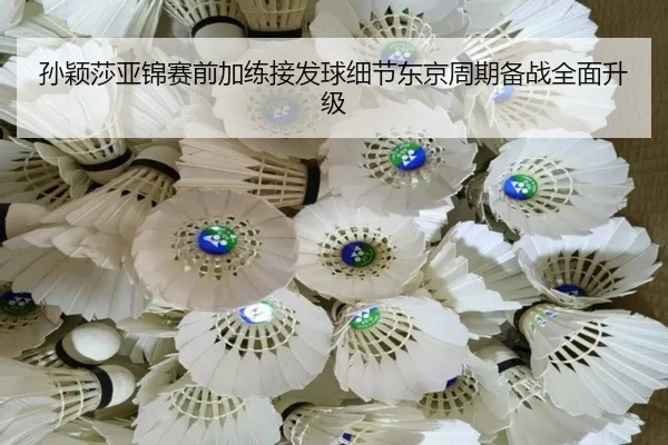 孙颖莎亚锦赛前加练接发球细节东京周期备战全面升级